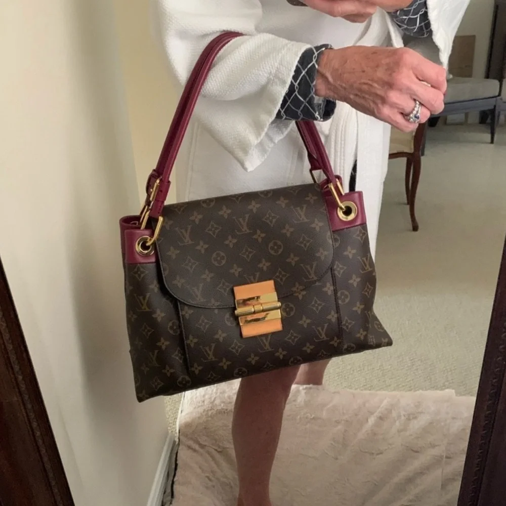 Louis Vuitton Brown and Burgundy Shoulder Bag